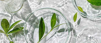 Nahrungsmittel und Kosmetik